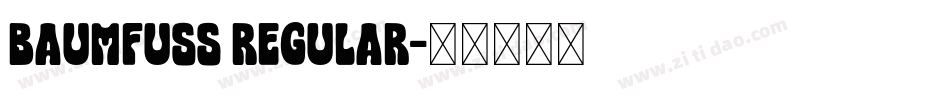 Baumfuss Regular字体转换